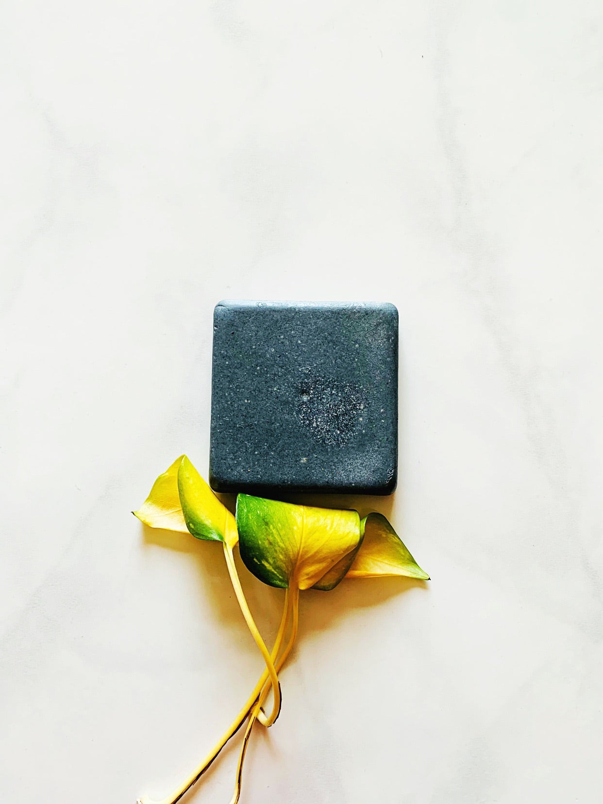 CHARCOAL + KAOLIN CLAY FACE BAR – Blue Orchid Collection | Raw + Simple ...